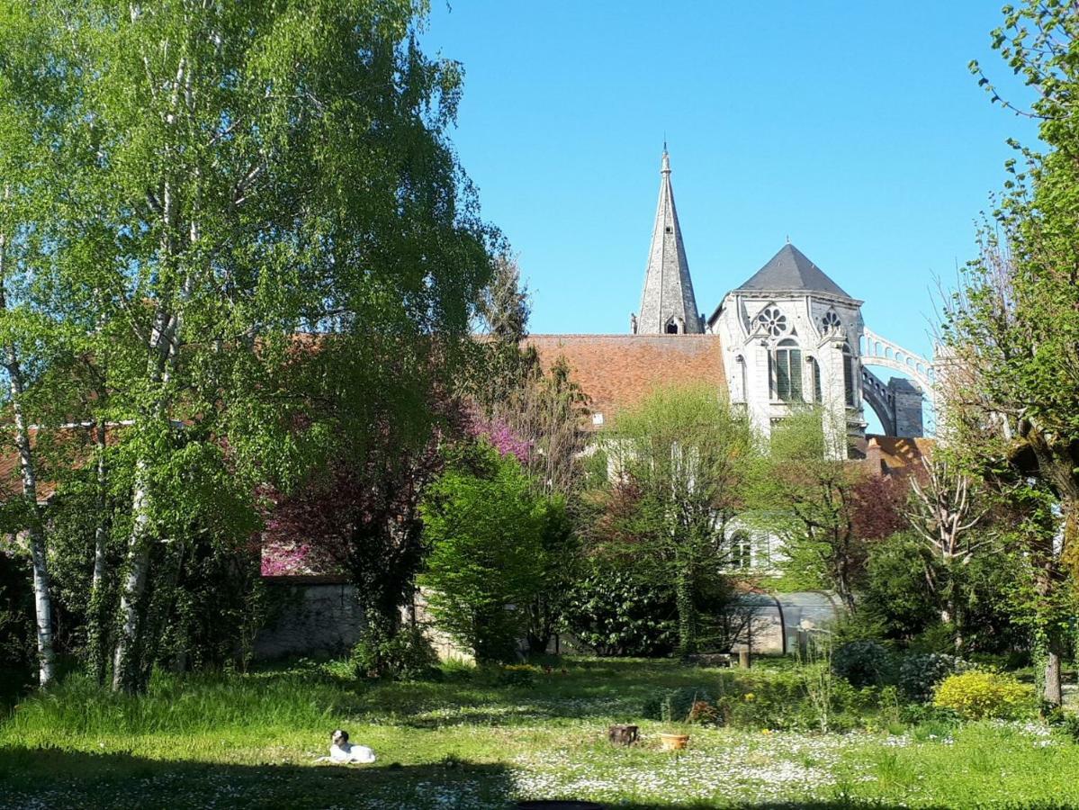 Saint-Eusebe Mansion - Hotel Particulier St-Eusebe Auxerre Eksteriør billede